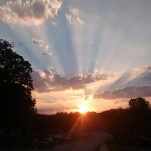 Meet your Posher, Marguerite